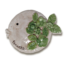 Carica l'immagine nel visualizzatore di Gallery, PESCI CALAMITA JASMINE e ALADDIN