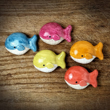 Carica l'immagine nel visualizzatore di Gallery, BALENA CALAMITA