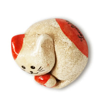 Carica l'immagine nel visualizzatore di Gallery, GATTINO CALAMITA ARAMIS