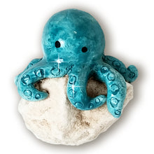 Carica l'immagine nel visualizzatore di Gallery, POLIPETTO CALAMITA