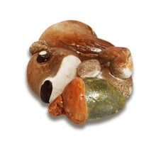 Carica l'immagine nel visualizzatore di Gallery, SCOIATTOLO CALAMITA