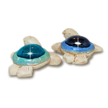 Carica l'immagine nel visualizzatore di Gallery, TARTARUGA CALAMITA AZZURRA